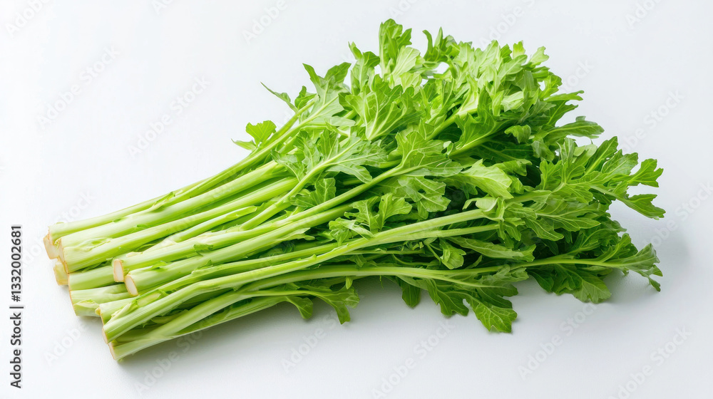 Fresh green celery stalks with leaves on white background Fresh green celery stalks with leaves on white background