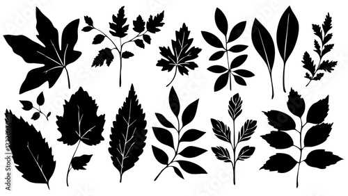 Collection of black botanical leaf silhouettes on a white background, featuring various plant species with intricate details. Aesthetic nature-inspired vector illustration for creative design.