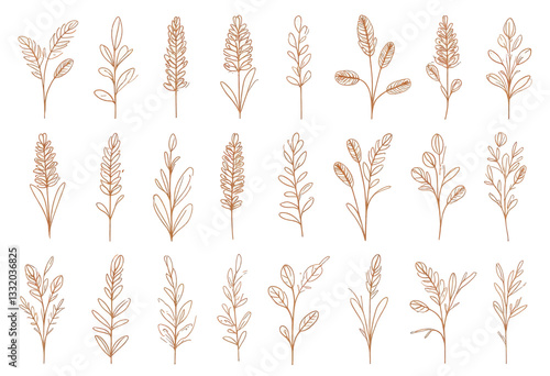 Botanical sketch elements; brown leaves and wheat illustrations