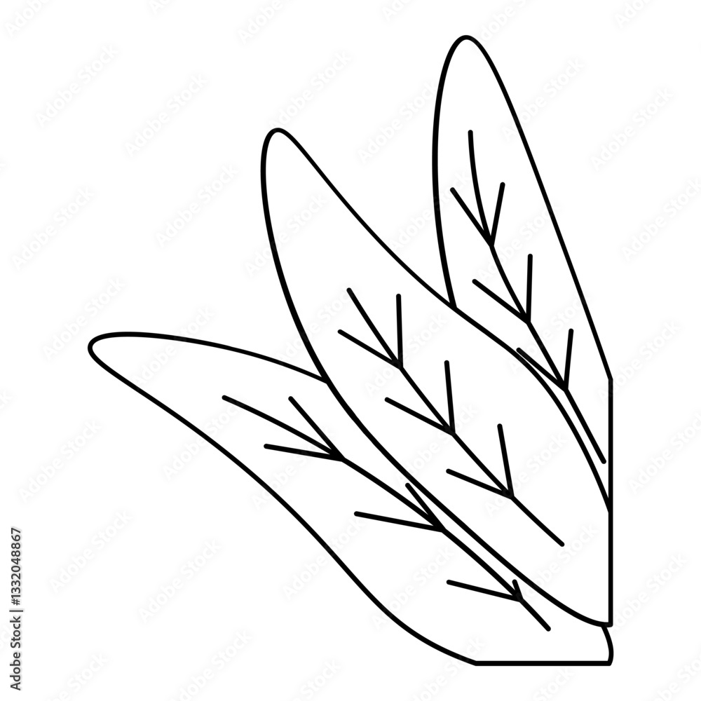 Obraz premium leaf plant corner outline ellement 
