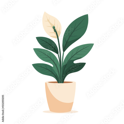 Potted peace lily with green foliage and cream bloom