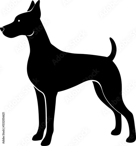 black and white dog