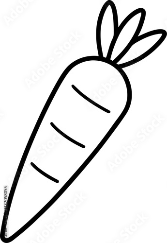 carrot vector illustration