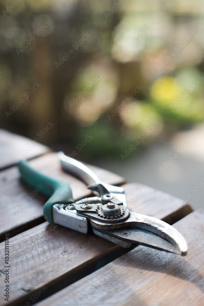 Garden shears, an essential tool for plant care.