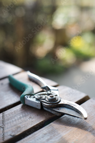 Obraz na płótnie Garden shears, an essential tool for plant care.
w salonie