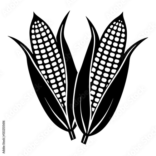 Fresh sweet corn on the cob with green husk and yellow kernels