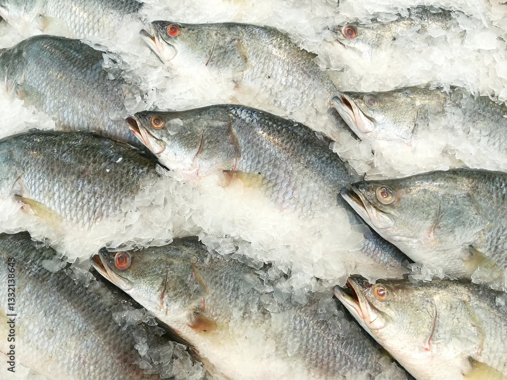 Obraz premium White perch fish on ice.