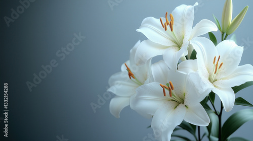Snow-white lilies, symbolizing purity, renewal, and the arrival of spring. Perfect for Easter-themed designs, floral arrangements, and serene nature-inspired compositions. copy space