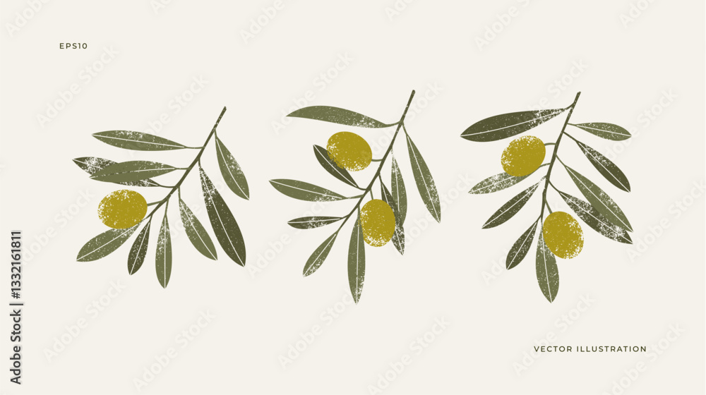 Fototapeta premium Olive branch collection. Set of olive leaves with berries. Vector illustration