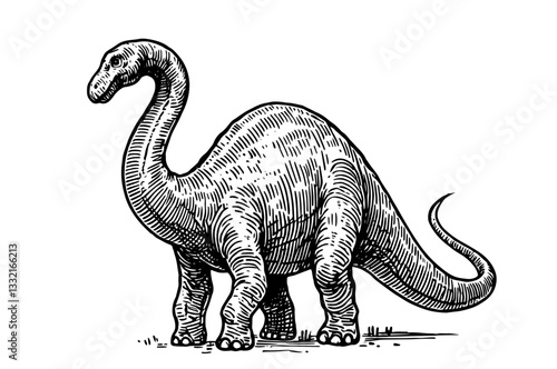 brontosaurus standing black paleo engraving illustration