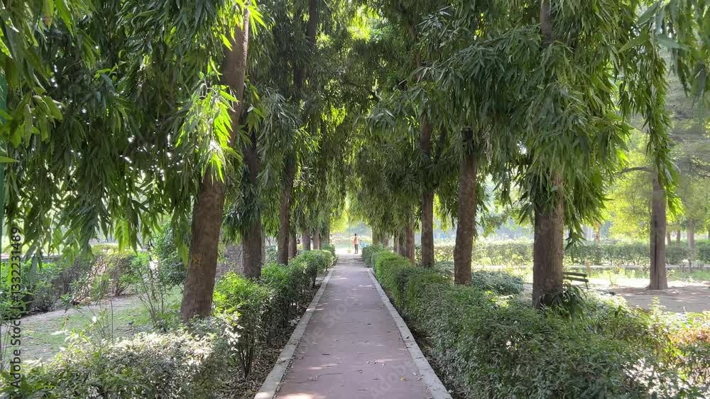 Narrow walkway passing through green vegetation in Picnic hut Park in Ashok Vihar, Delhi, India Narrow walkway passing through green vegetation in Picnic hut Park in Ashok Vihar, Delhi, India