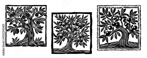 vintage fruit tree illustrations in engraved style