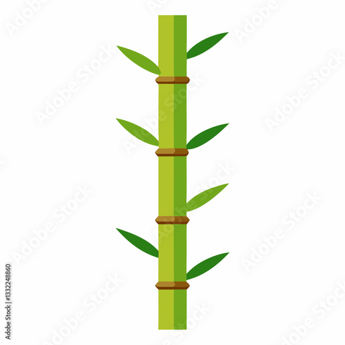 modern bamboo stalk with sleek vertical alignment 