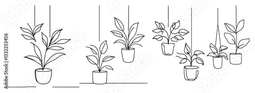 minimalist potted houseplants set in black line vector style
