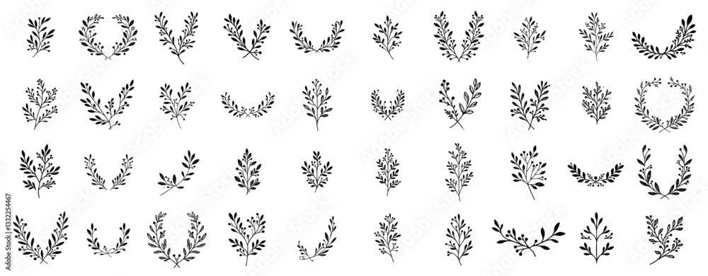 collection of hand drawn botanical branches and leaf elements in delicate decorative style collection of hand drawn botanical branches and leaf elements in delicate decorative style