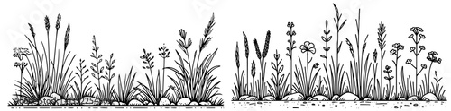 black and white hand drawn meadow grass and flower border vector set