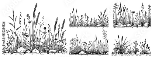 hand drawn black and white wild grass and meadow plants vector set