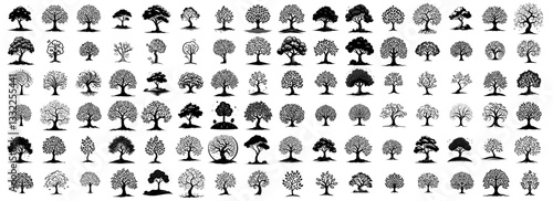 extensive black and white vector tree silhouette collection