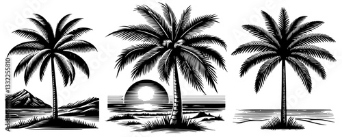 black and white tropical palm tree vector illustrations with beach and sunset