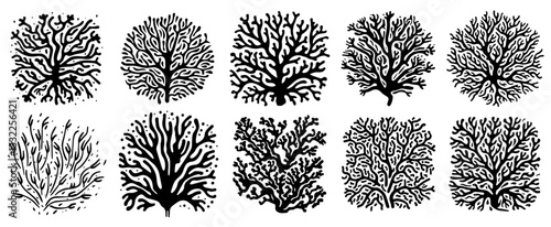 hand drawn black and white coral silhouette vector set