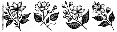 detailed black and white botanical flower illustrations vector set