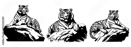 majestic tigers resting on rocks vector black shape silhouette