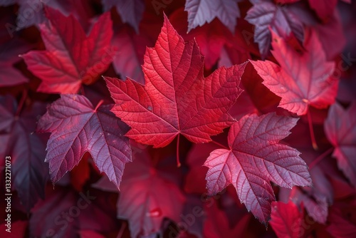 red leaves background antumn nature.
