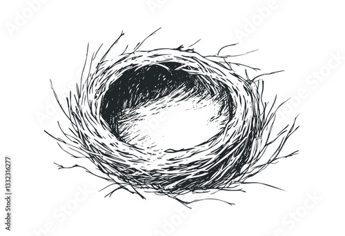 Detailed drawing of a bird's nest with twigs and branches. Vector retro hand drawn illustration