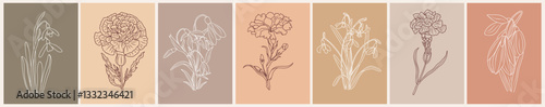 Carnation and snowdrop, January birth month flowers Drawing Print Set. Botanical Poster. Modern Line Art, Aesthetic Contour. Vector outline illustrations on neutral earth tone color background.