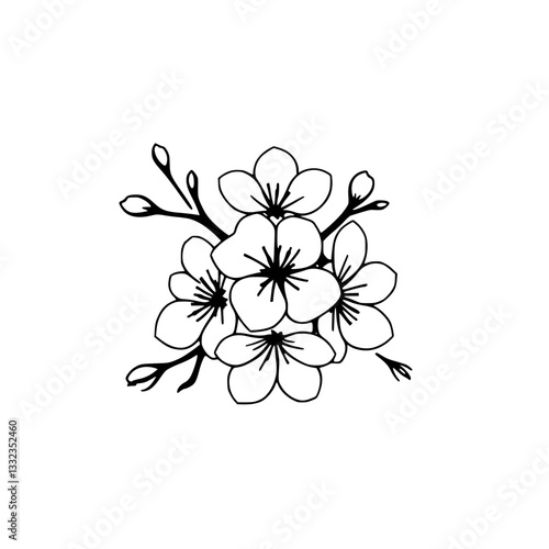 Elegant Monochrome Illustration of Blossoming Cherry Flowers, Outlined in Black, on White Background, Depicting Delicate Floral Arrangement.
