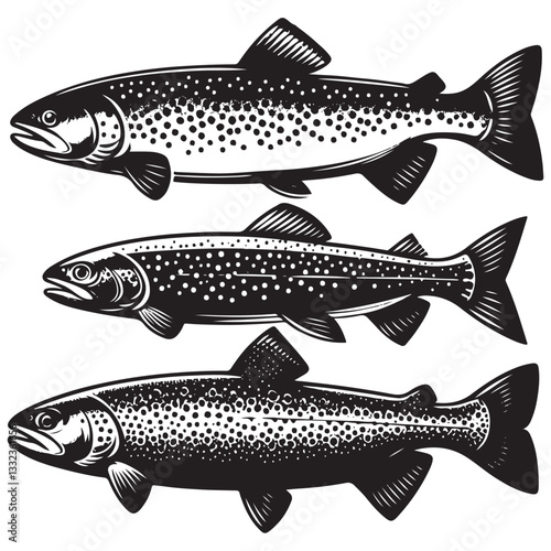 Trout logo, Trout fish vector illustration