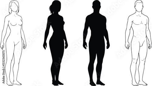 Black and white silhouette of two male and two female figures, one filled and one outlined per gender, anatomical study, vector art"