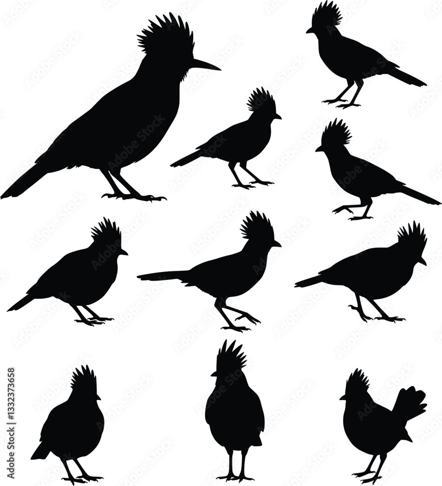 Fototapeta premium Black and white silhouette of a bird with a distinctive crest and pointed beak, captured in a dancing pose, emphasizing its unique features and stance