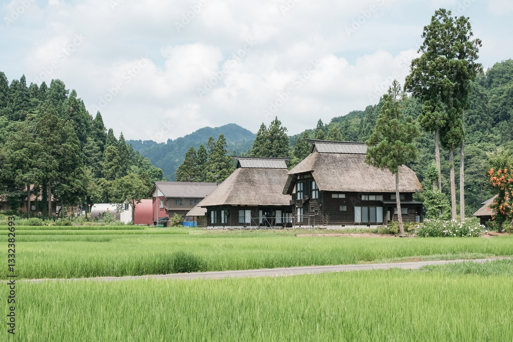 Obraz premium 田舎の風景（荻ノ島かやぶきの里）