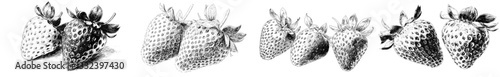 Create an isolated strawberry hand drawn graphic in a modern illustration style to be engraved