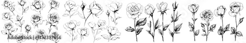 A hand drawn set of roses featuring black line silhouettes of rose flowers and inflorescence isolated on a white background, forming a modern doodle icon collection