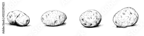A modern, hand-drawn outline of a potato is presented as a doodle icon, created with starch as the subject for a sketch illustration suitable for various mediums