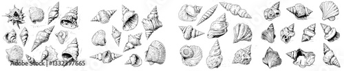 A set of sea shells is sketched, featuring black doodle seashell silhouettes isolated on a white background, creating a modern ocean life hand-drawn illustration