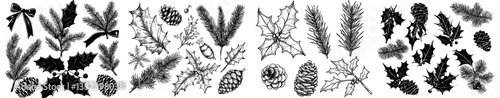 The Christmas collection includes plants, featuring sketches of fir branches, pine cones, and holly leaves adorned with berries, all part of a vintage hand-drawn botanical set