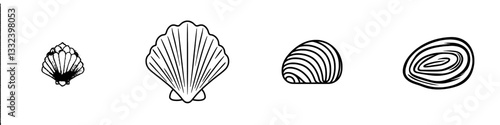 A contemporary hand-drawn image of a single sea shell, set apart from other objects