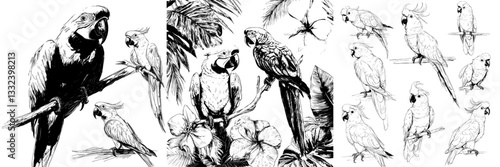 The modern illustration features a set of hand-drawn black and white sketches of colorful vintage exotic tropical birds, including parrots, macaws, and cockatoos, as isolated objects
