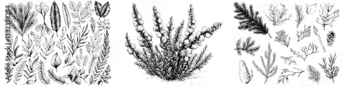 A modern compilation of hand-drawn black and white heather designs