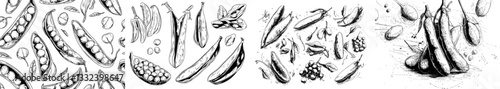 A detailed illustration set featuring hand drawn ink pea pods, peas, and flowers in black and white, presented as a modern eps 8 sketch