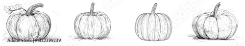 A modern illustration of a pumpkin fruit is depicted in a sketch engraving style, suitable for a t-shirt apparel print design, with a scratch board imitation effect, presented as a black and white