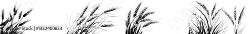A hand-drawn modern illustration of a monochrome wheat plant with grains, isolated on a background