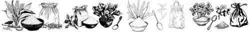 A sketch of chia seeds is depicted, featuring hand-drawn plants adorned with flowers, symbolizing a vegetarian superfood concept presented in a sack and pile, highlighting its use as a culinary