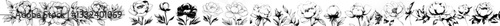 A collection of monochrome peony flowers, hand drawn in a graphical style, is isolated on a white background as a modern