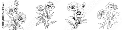 A contemporary depiction of marigold flowers, featuring contour, doodle, and silhouette styles, set against a white background