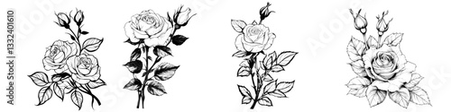 A modern line art style illustration featuring a corner arrangement of rose buds and leaves, rendered in a hand-drawn outline with black and white hues, suitable for stickers, stationery, and