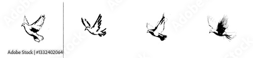 1. Modern, isolated, single, contemporary, linear flying bird pigeon side view, colorless, black and white contour line, easy drawing